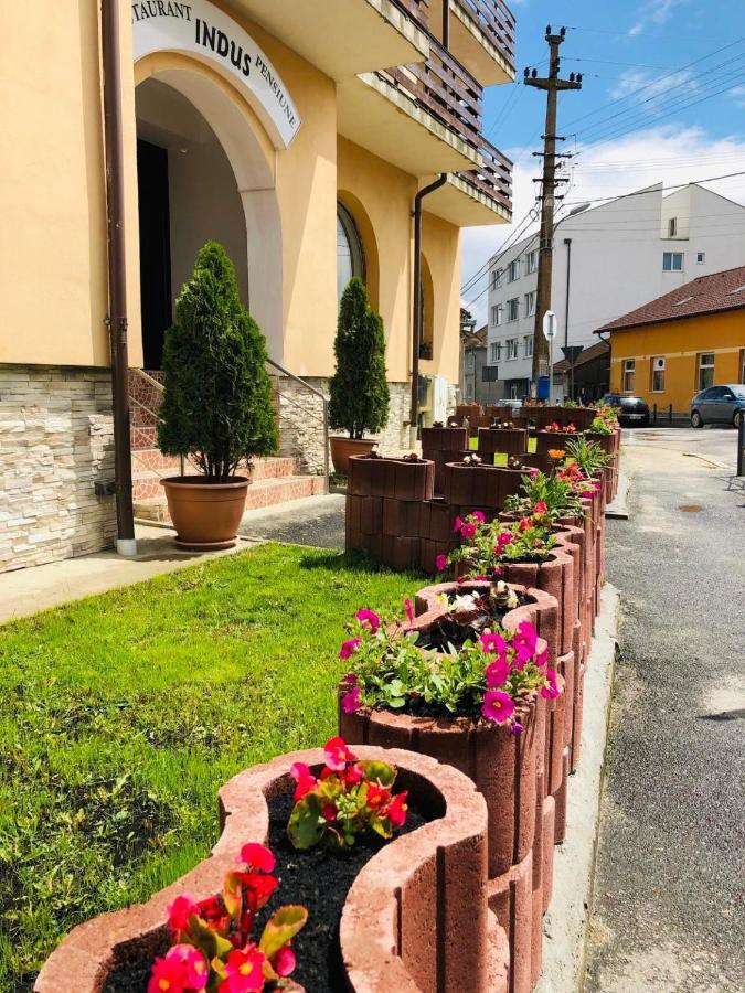 Pensiune Restaurant Indus Окна-Сібіулуй Екстер'єр фото